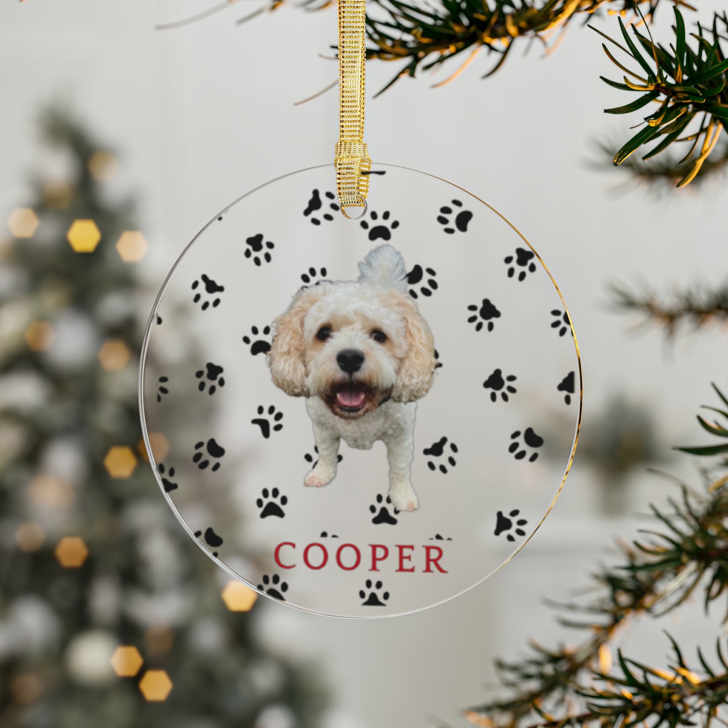 Pet Personalized Acrylic Ornaments